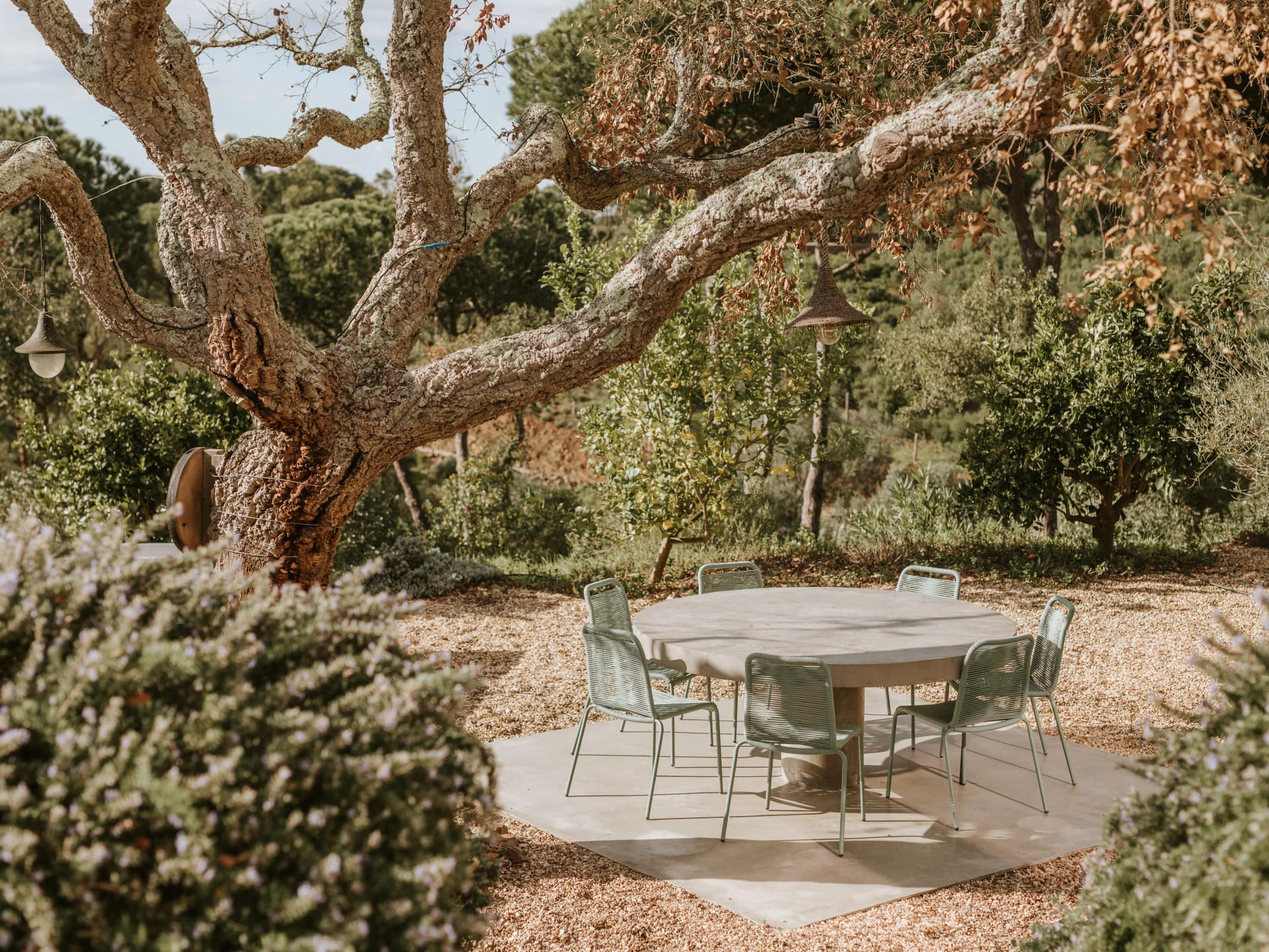 (params = {}, options = {}) => {
	return {
		en: dining$3,
		es: dining$1,
		pt: dining$2
	}[options.languageTag ?? languageTag()]()
}